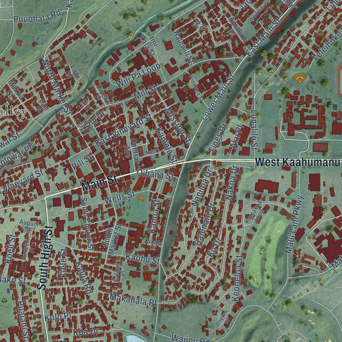 Close-up of the map of Wailuku, Hawaii print showing street and building detail