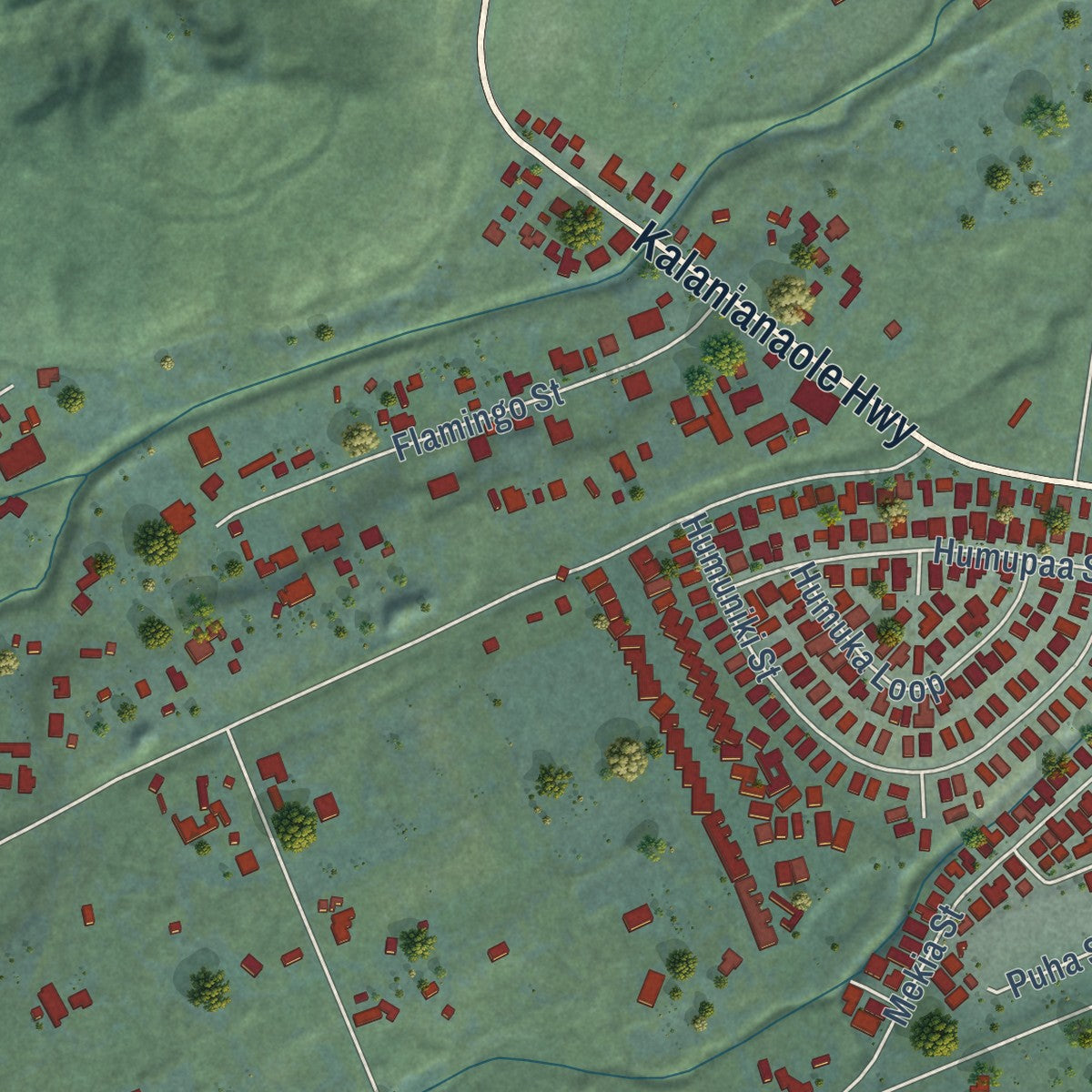 Close-up of the map of Waimanalo, Hawaii print showing street and building detail