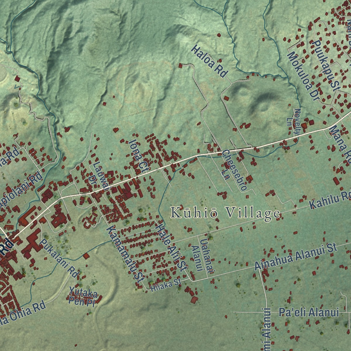 Close-up of the map of Waimea, Hawaii print showing street and building detail