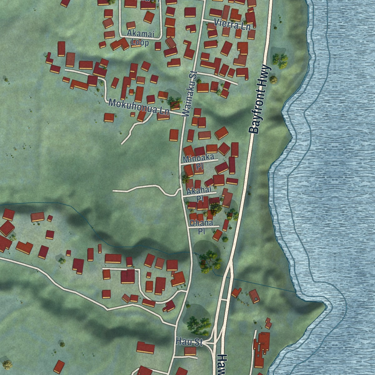Close-up of the map of Wainaku, Hawaii print showing street and building detail