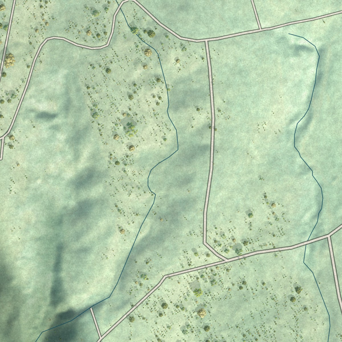 Close-up of the map of Waiohinu, Hawaii print showing street and building detail