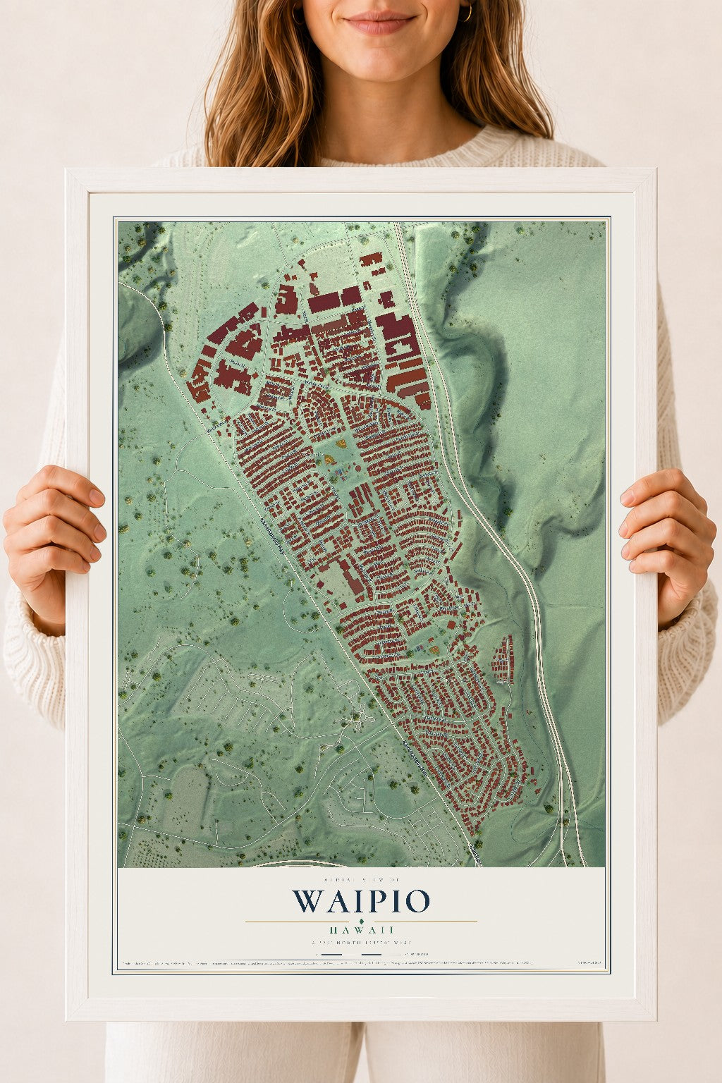 Map of Waipio, Hawaii, 18 x 24 inch print in a white wood frame