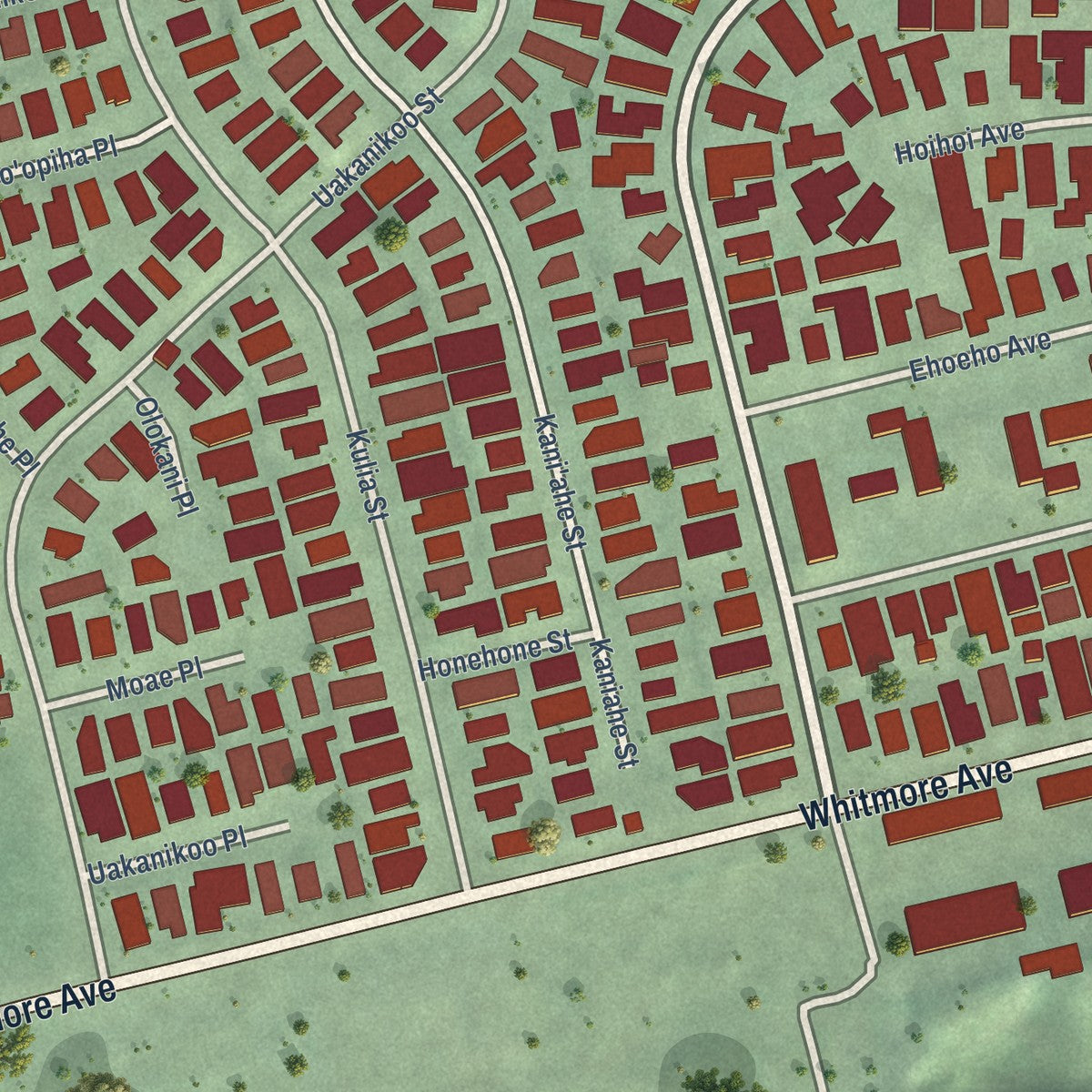 Close-up of the map of Whitmore Village, Hawaii print showing street and building detail