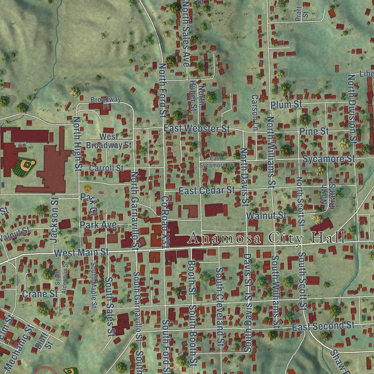 Close-up of the map of Anamosa, Iowa print showing street and building detail