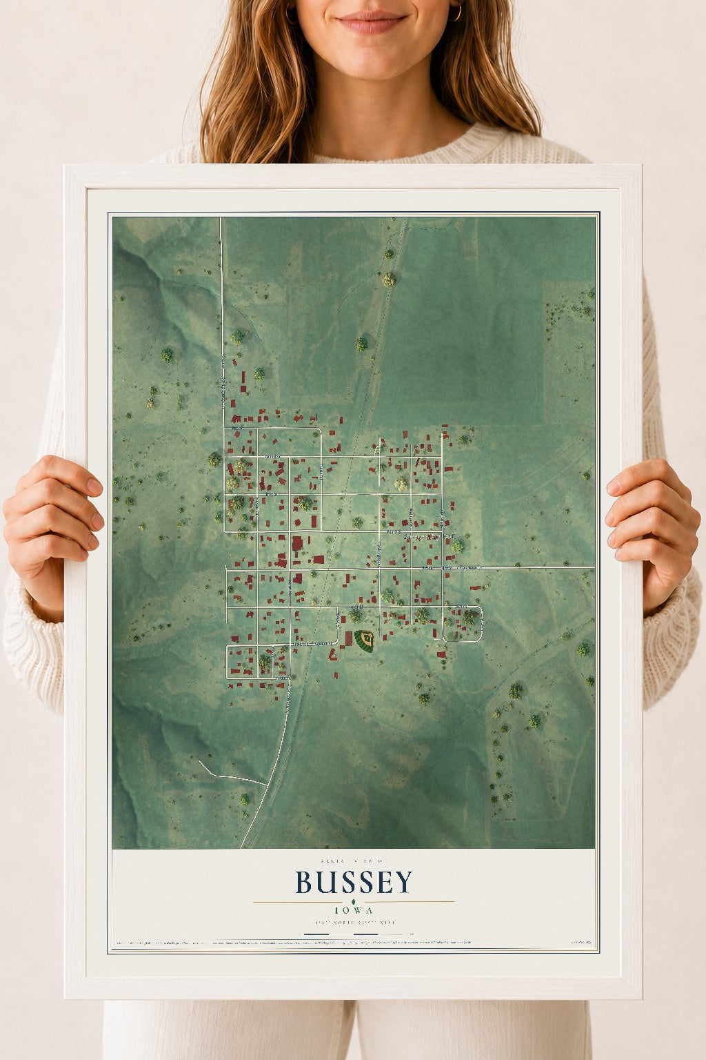 Map of Bussey, Iowa, 18 x 24 inch print in a white wood frame