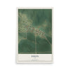 Map of Dixon, Iowa, 12 x 18 inch unframed archival matte print