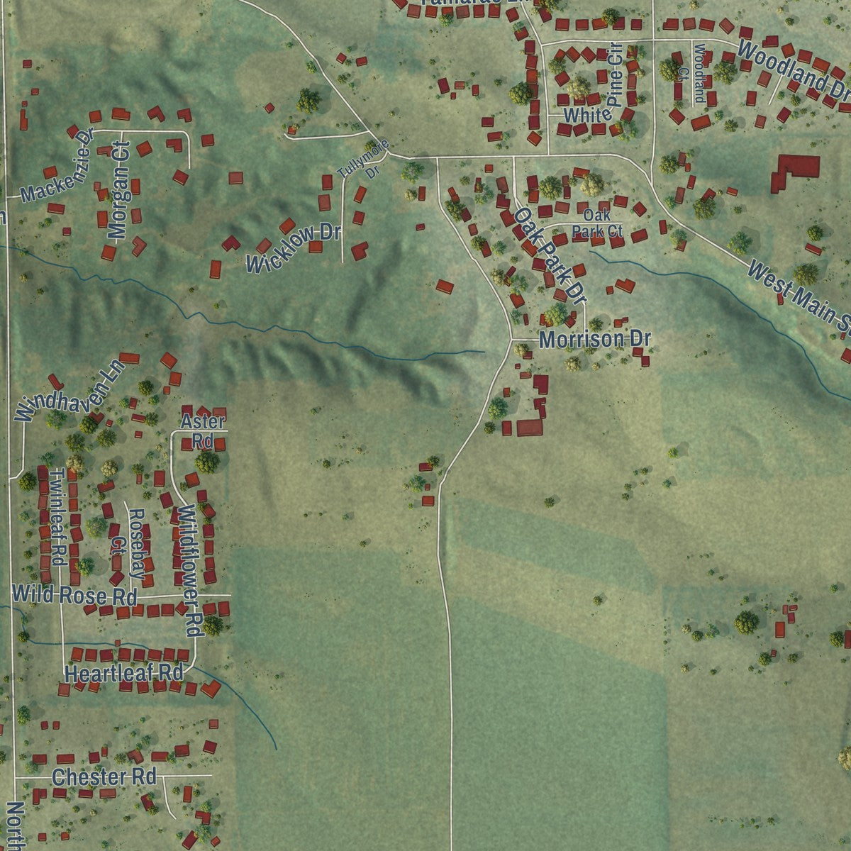 Second close-up of the map of Robins, Iowa print showing more streets and buildings