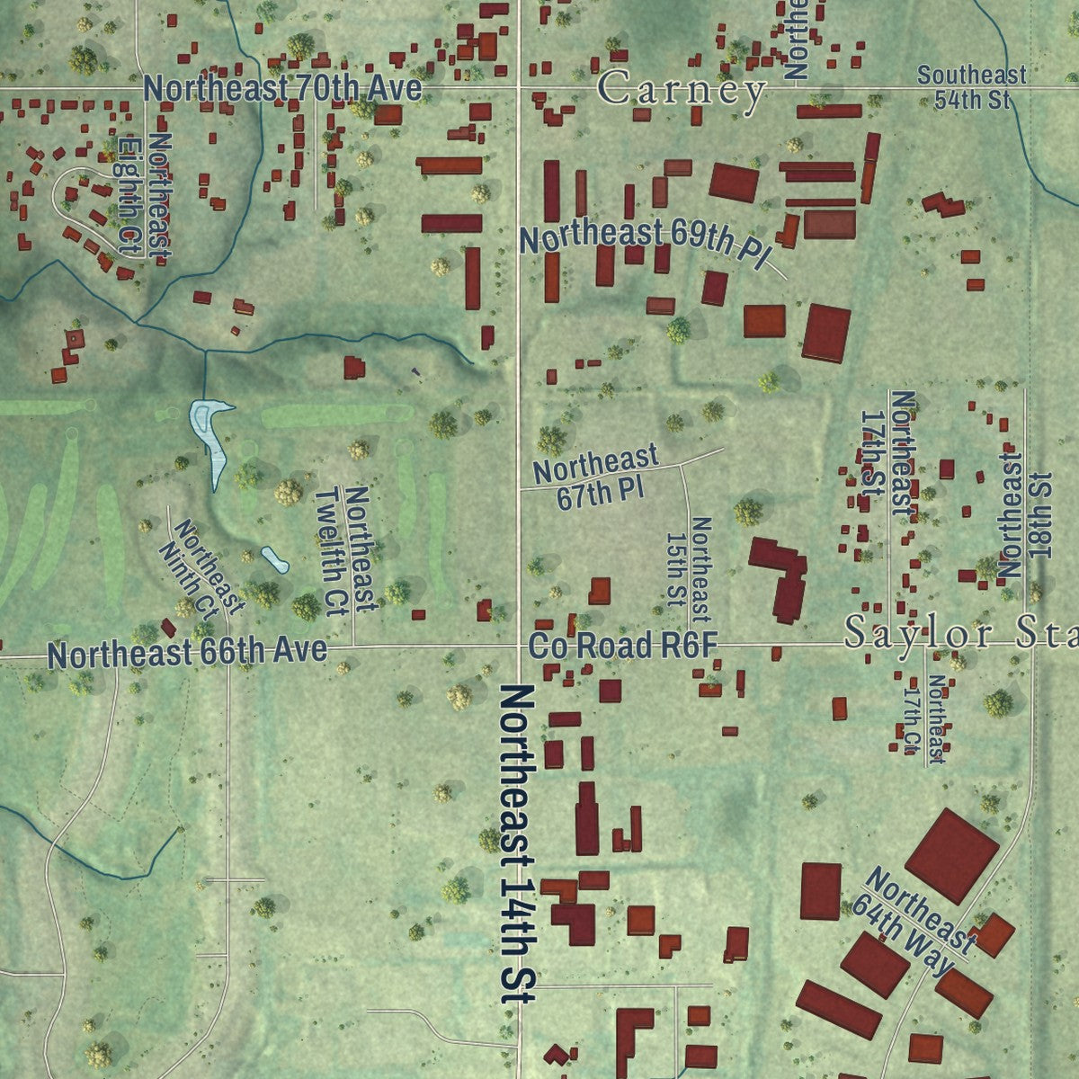 Close-up of the map of Saylorville, Iowa print showing street and building detail