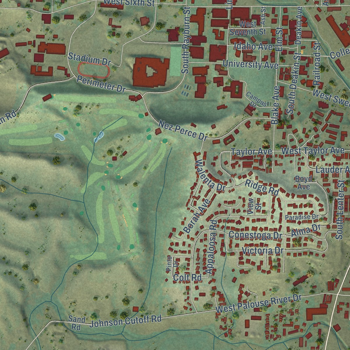 Second close-up of the map of Moscow, Idaho print showing more streets and buildings