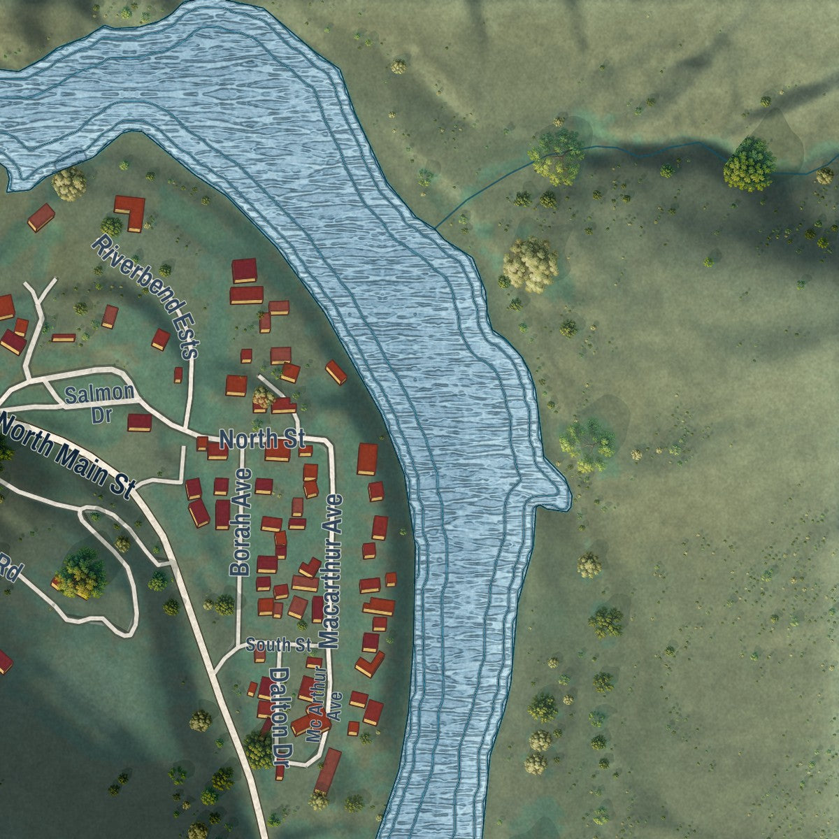 Second close-up of the map of Riggins, Idaho print showing more streets and buildings