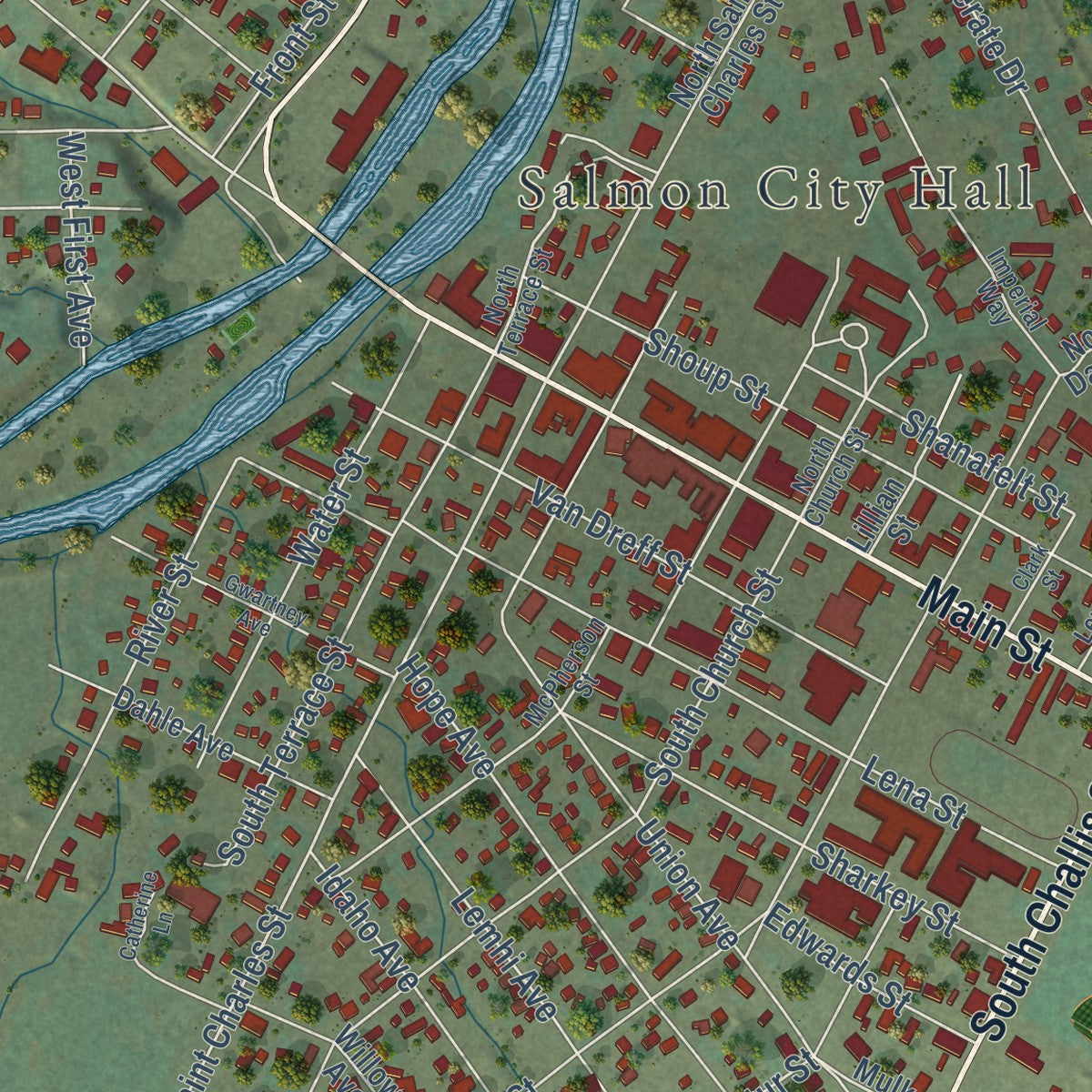 Close-up of the map of Salmon, Idaho print showing street and building detail