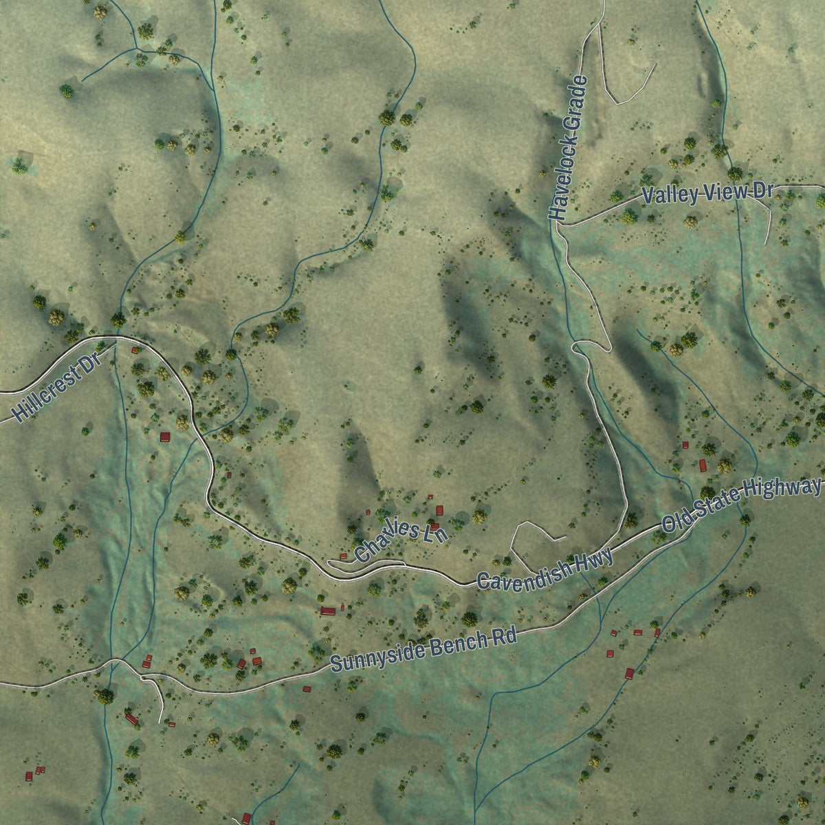 Close-up of the map of Teakean, Idaho print showing street and building detail