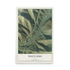 Map of White Bird, Idaho, 12 x 18 inch unframed archival matte print
