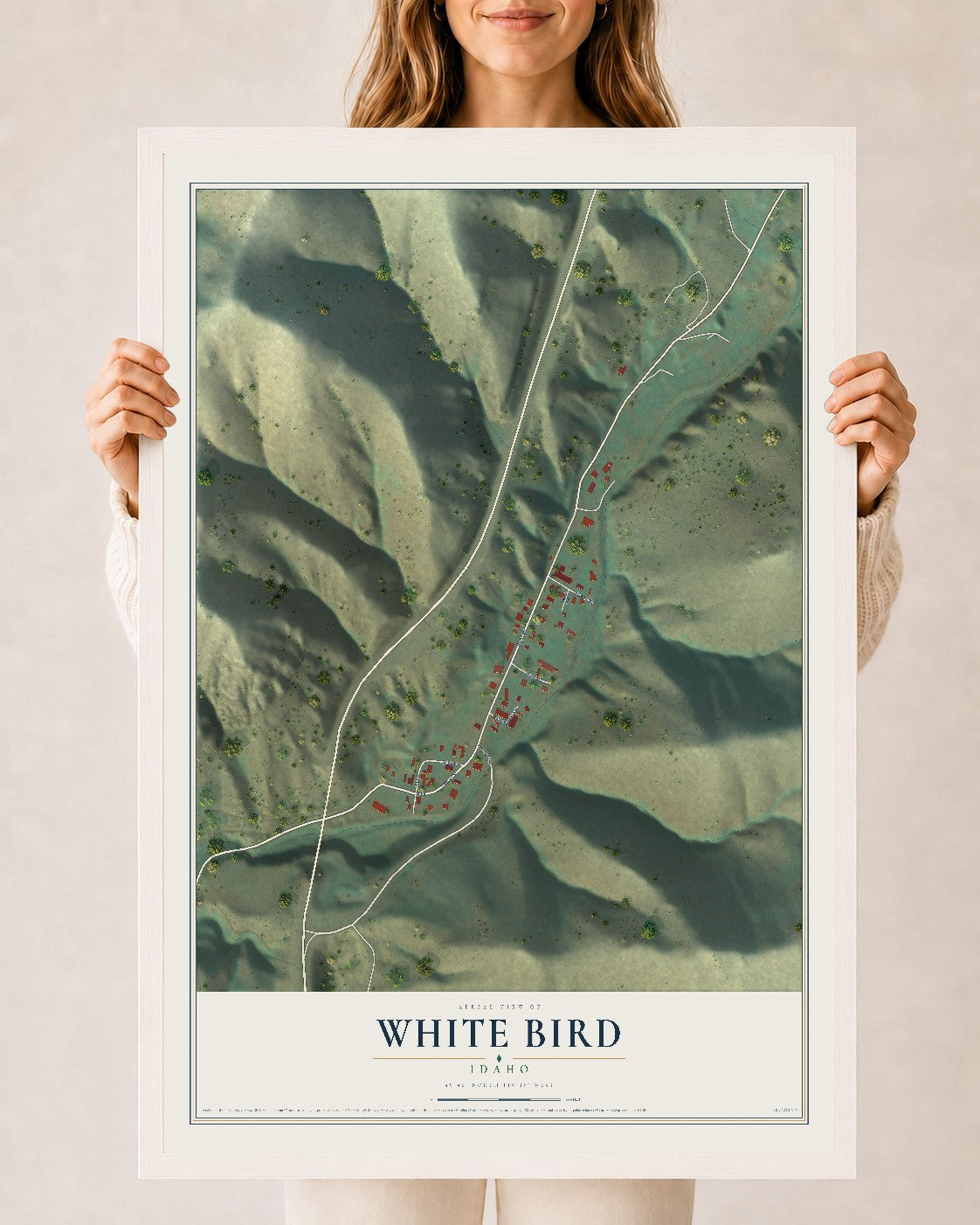 Map of White Bird, Idaho, 24 x 36 inch print in a white wood frame