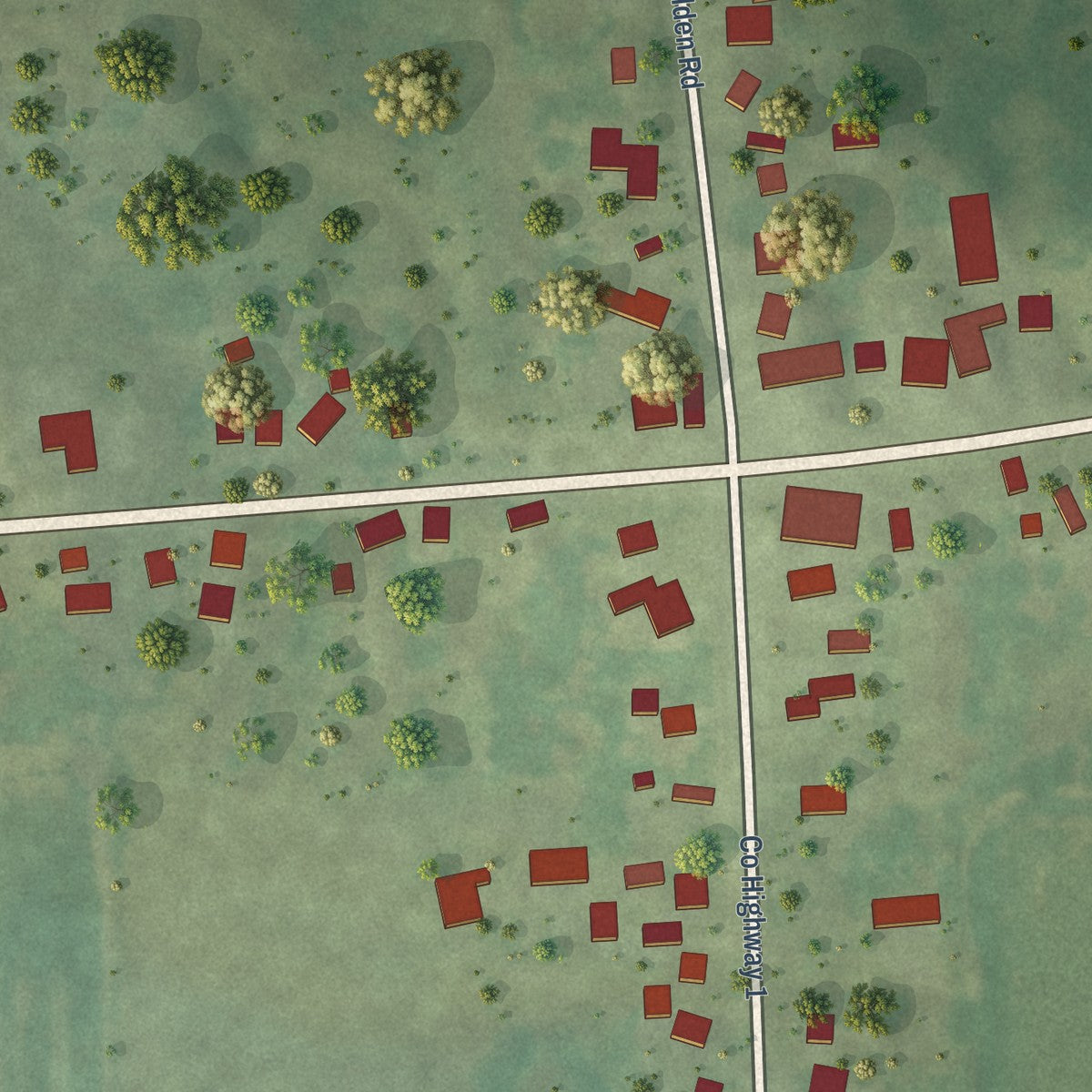 Close-up of the map of Alden, Illinois print showing street and building detail