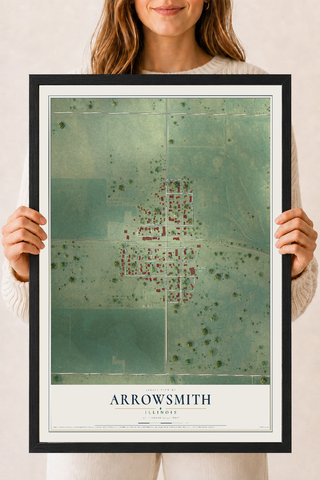 Map of Arrowsmith, Illinois, 18 x 24 inch print in a black wood frame