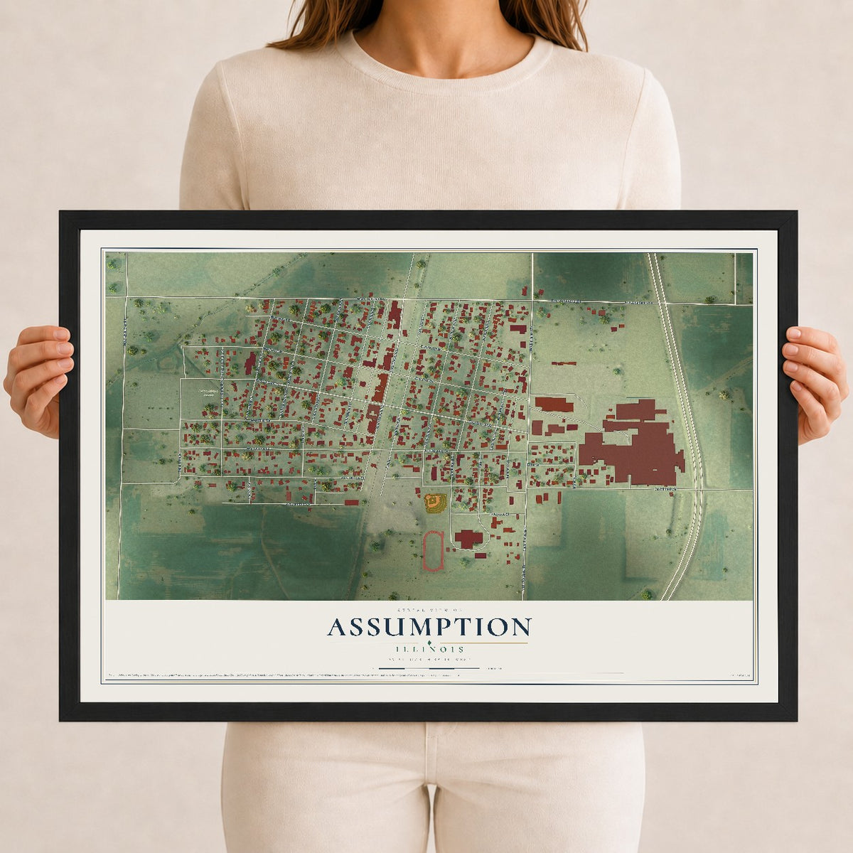 Map of Assumption, Illinois, 12 x 18 inch print in a black wood frame
