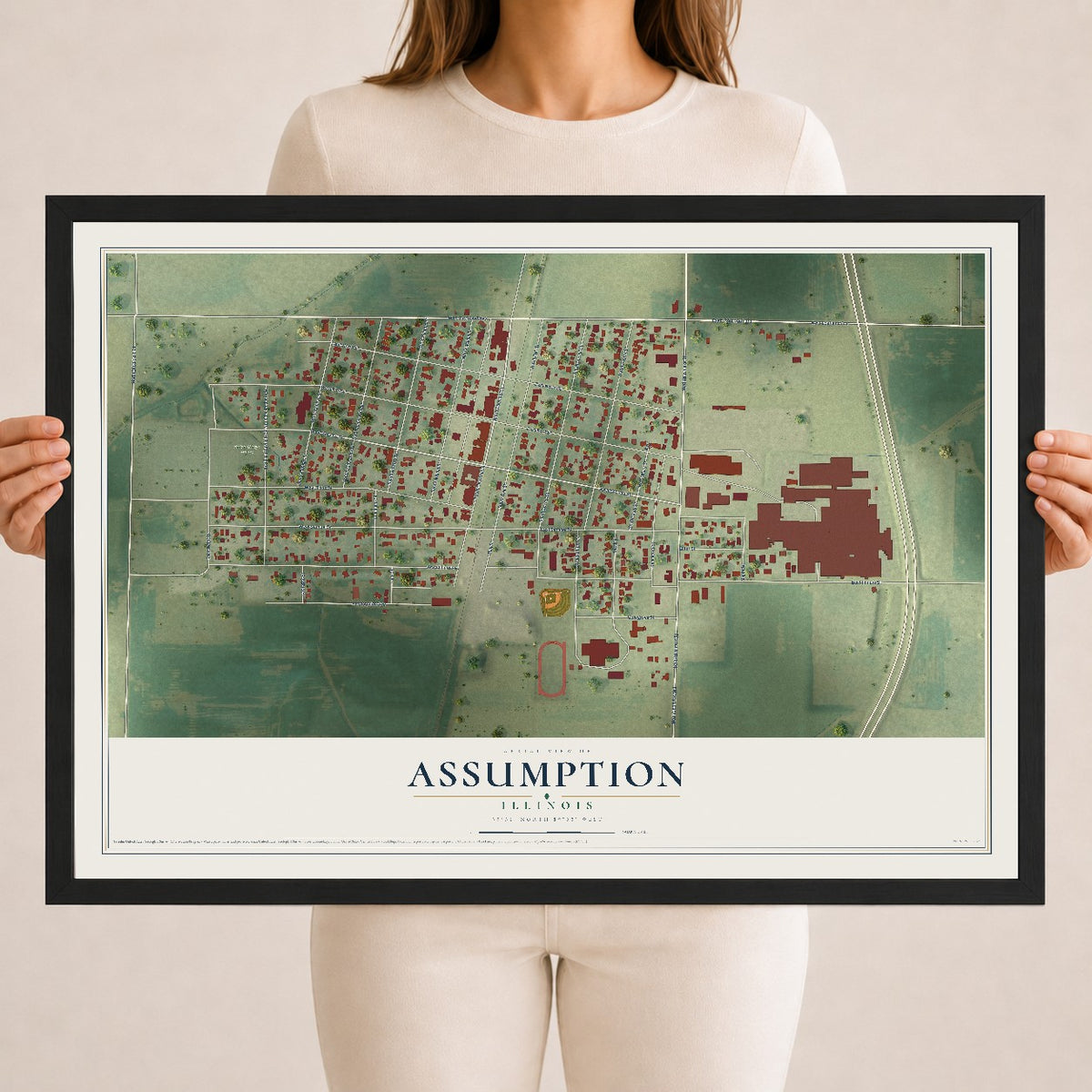 Map of Assumption, Illinois, 18 x 24 inch print in a black wood frame