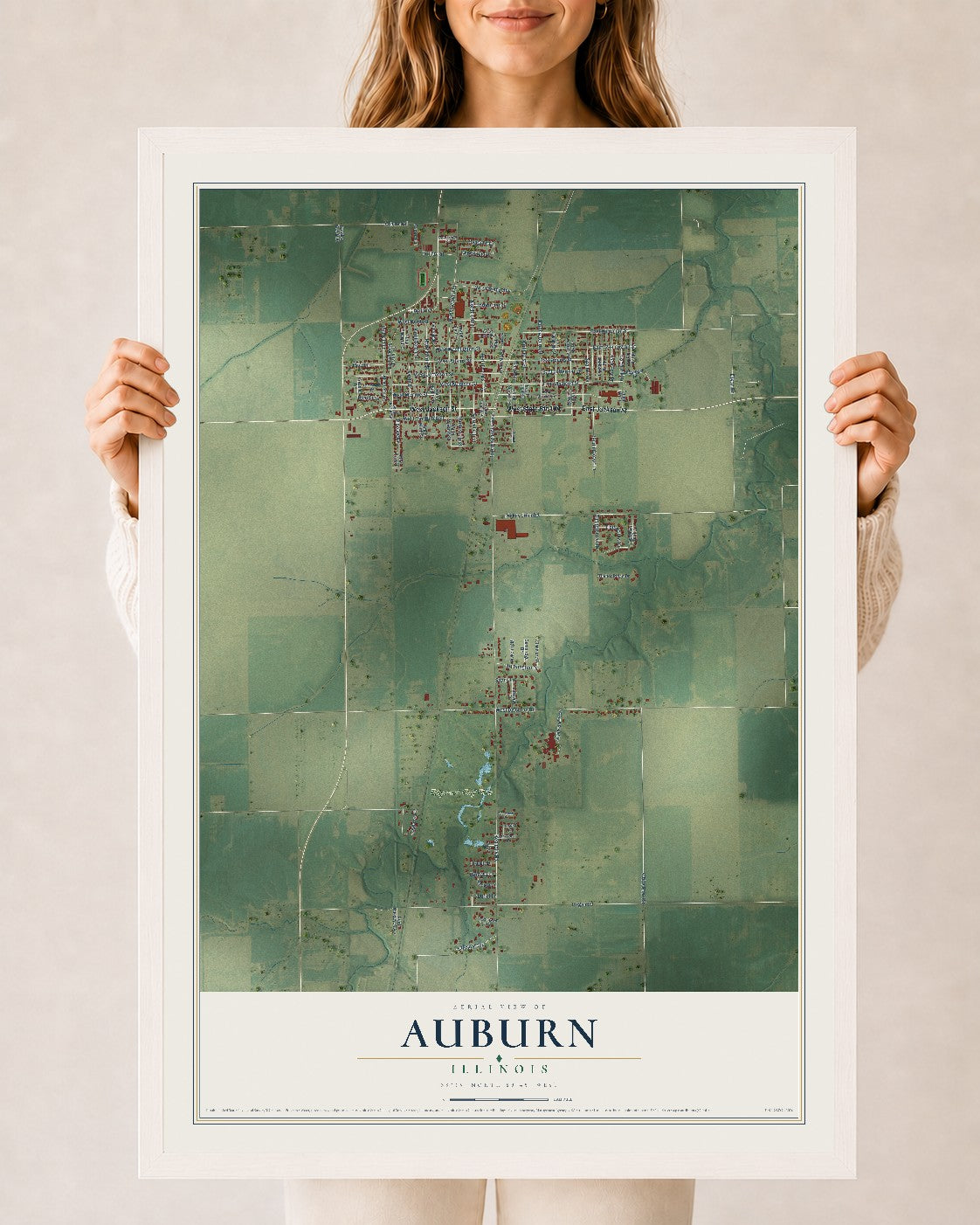 Map of Auburn, Illinois, 24 x 36 inch print in a white wood frame