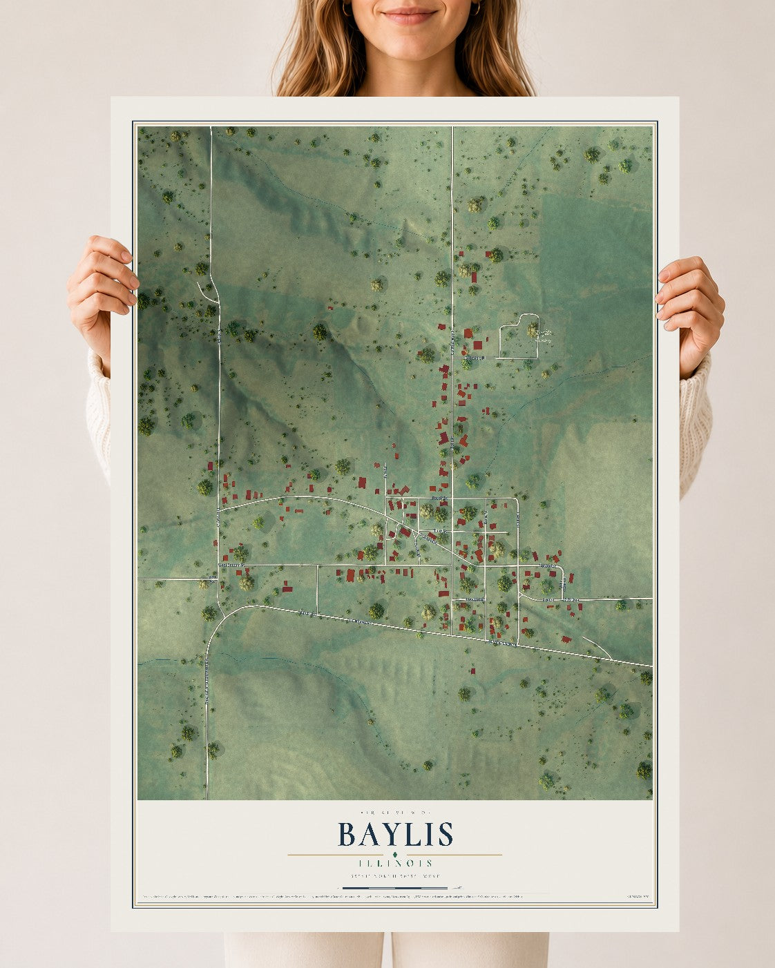 Map of Baylis, Illinois, 24 x 36 inch unframed archival matte print