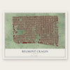 Belmont Cragin, Illinois map print, the full design