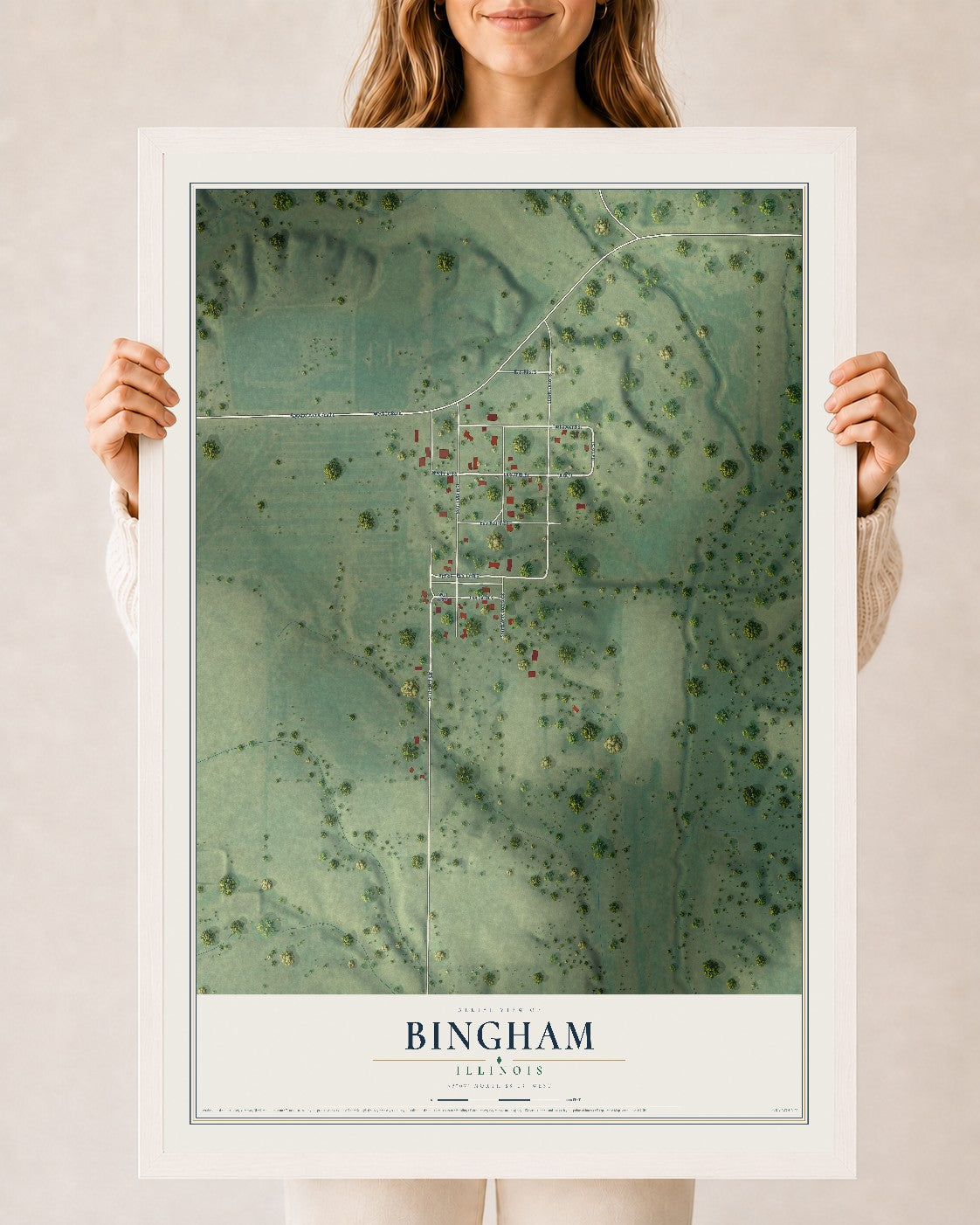 Map of Bingham, Illinois, 24 x 36 inch print in a white wood frame