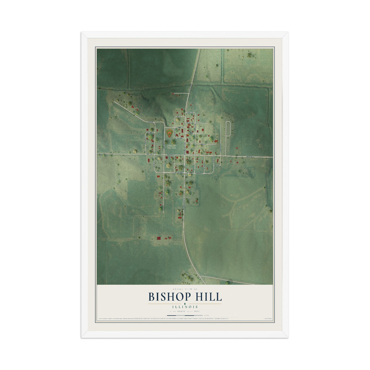Map of Bishop Hill, Illinois, 12 x 18 inch print in a white wood frame