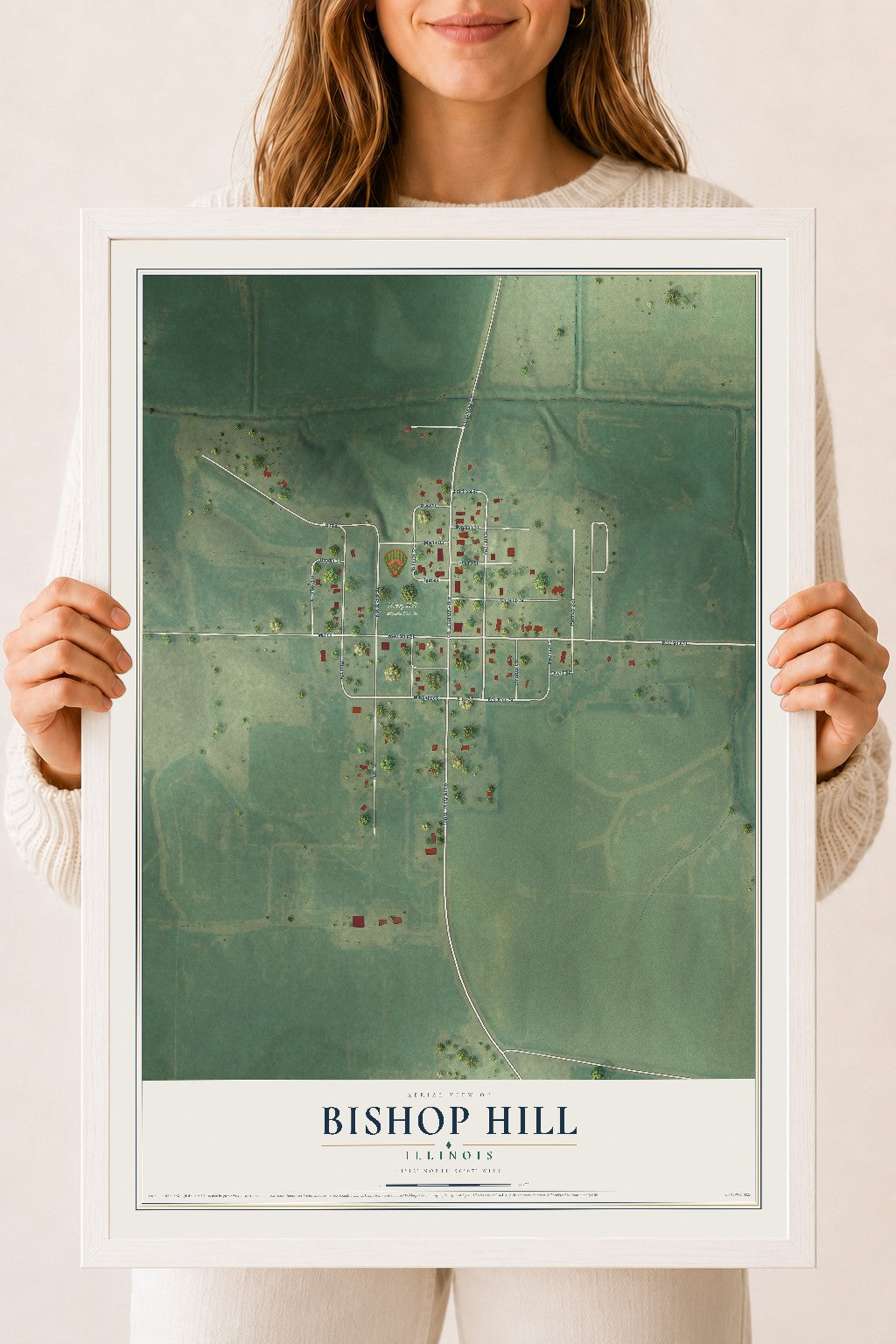 Map of Bishop Hill, Illinois, 18 x 24 inch print in a white wood frame