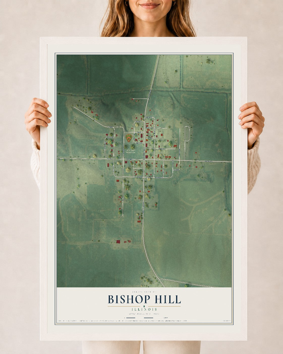 Map of Bishop Hill, Illinois, 24 x 36 inch print in a white wood frame