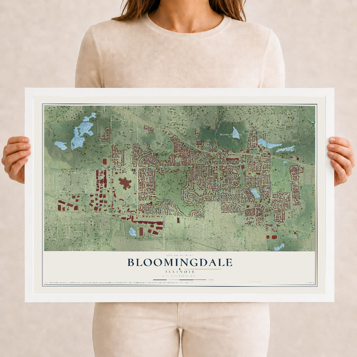 Map of Bloomingdale, Illinois, 12 x 18 inch print in a white wood frame