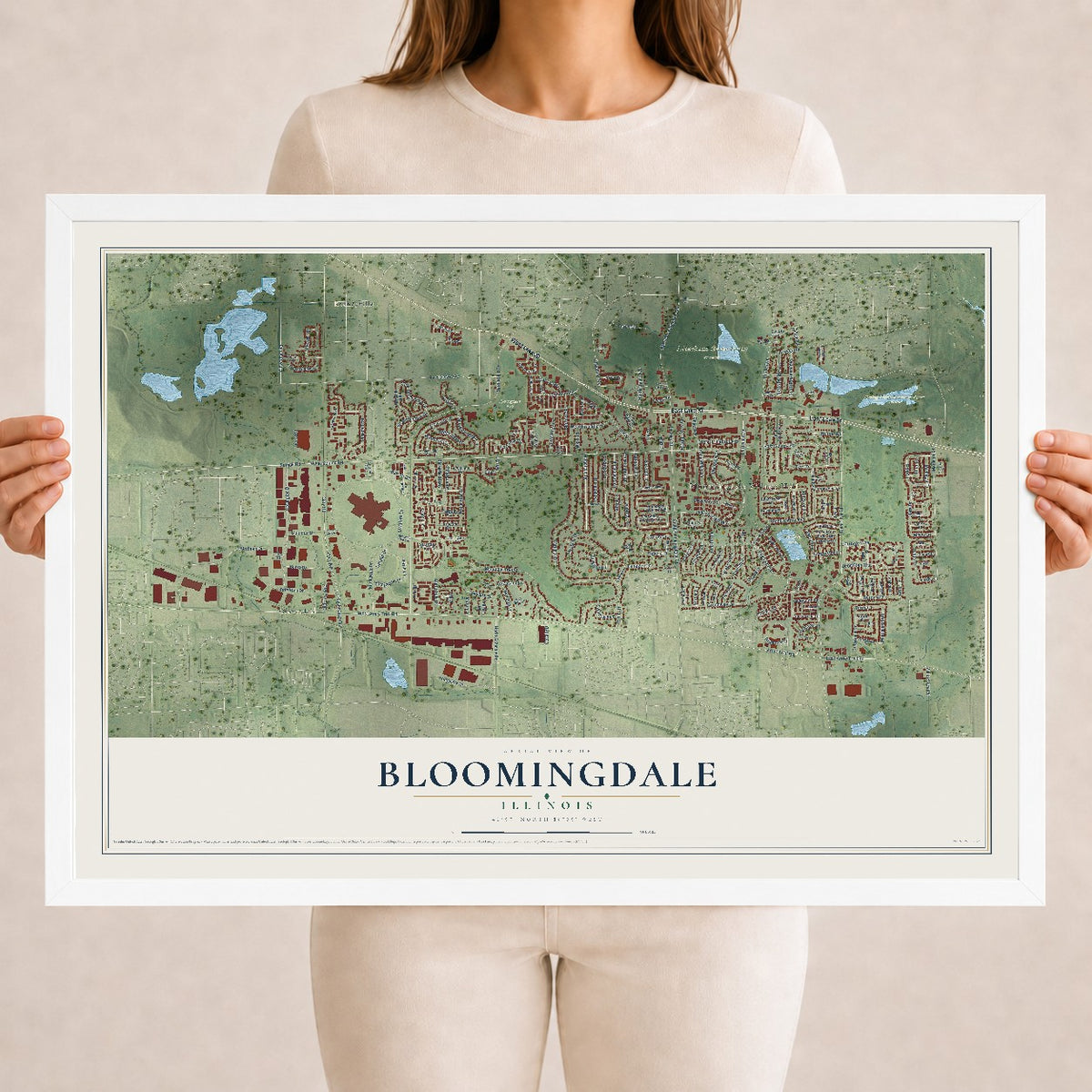 Map of Bloomingdale, Illinois, 18 x 24 inch print in a white wood frame