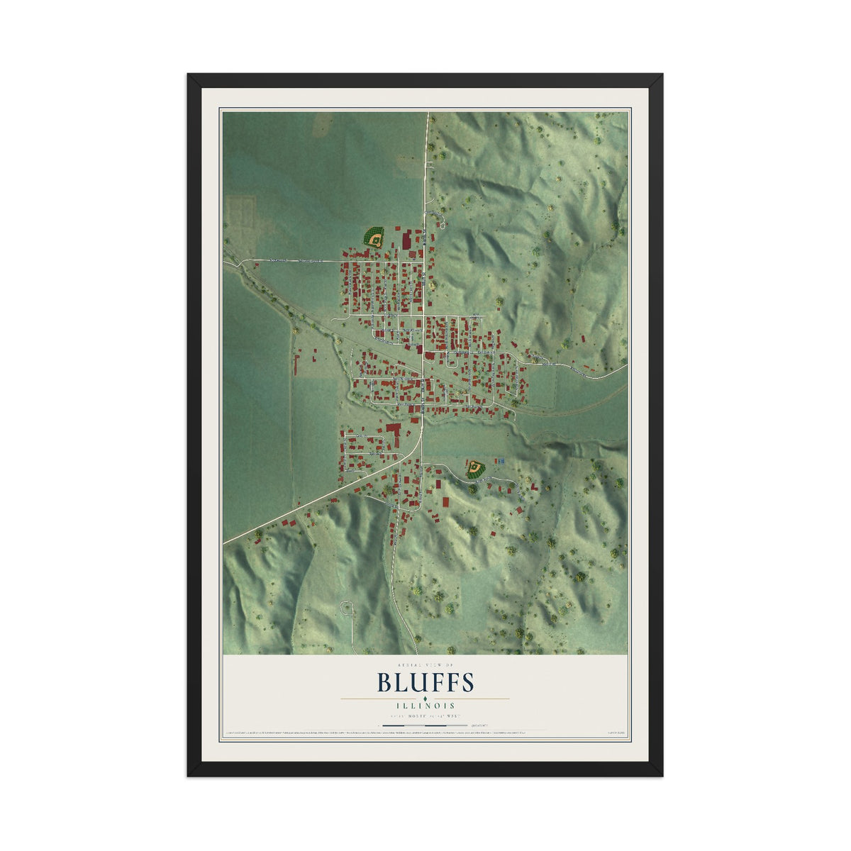 Map of Bluffs, Illinois, 12 x 18 inch print in a black wood frame