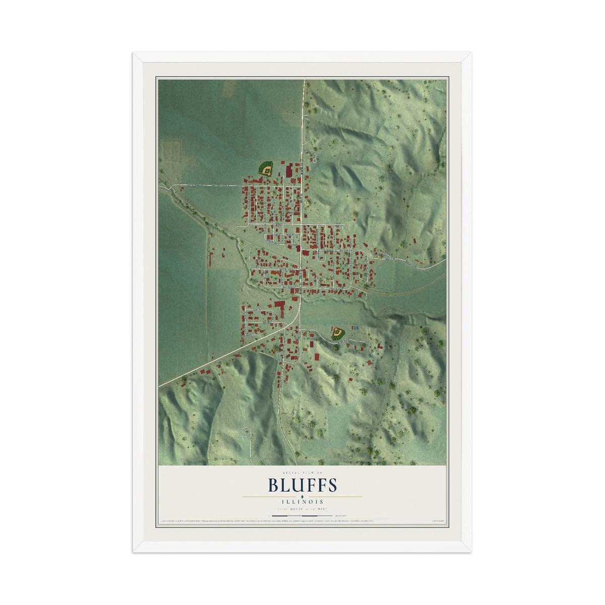 Map of Bluffs, Illinois, 12 x 18 inch print in a white wood frame