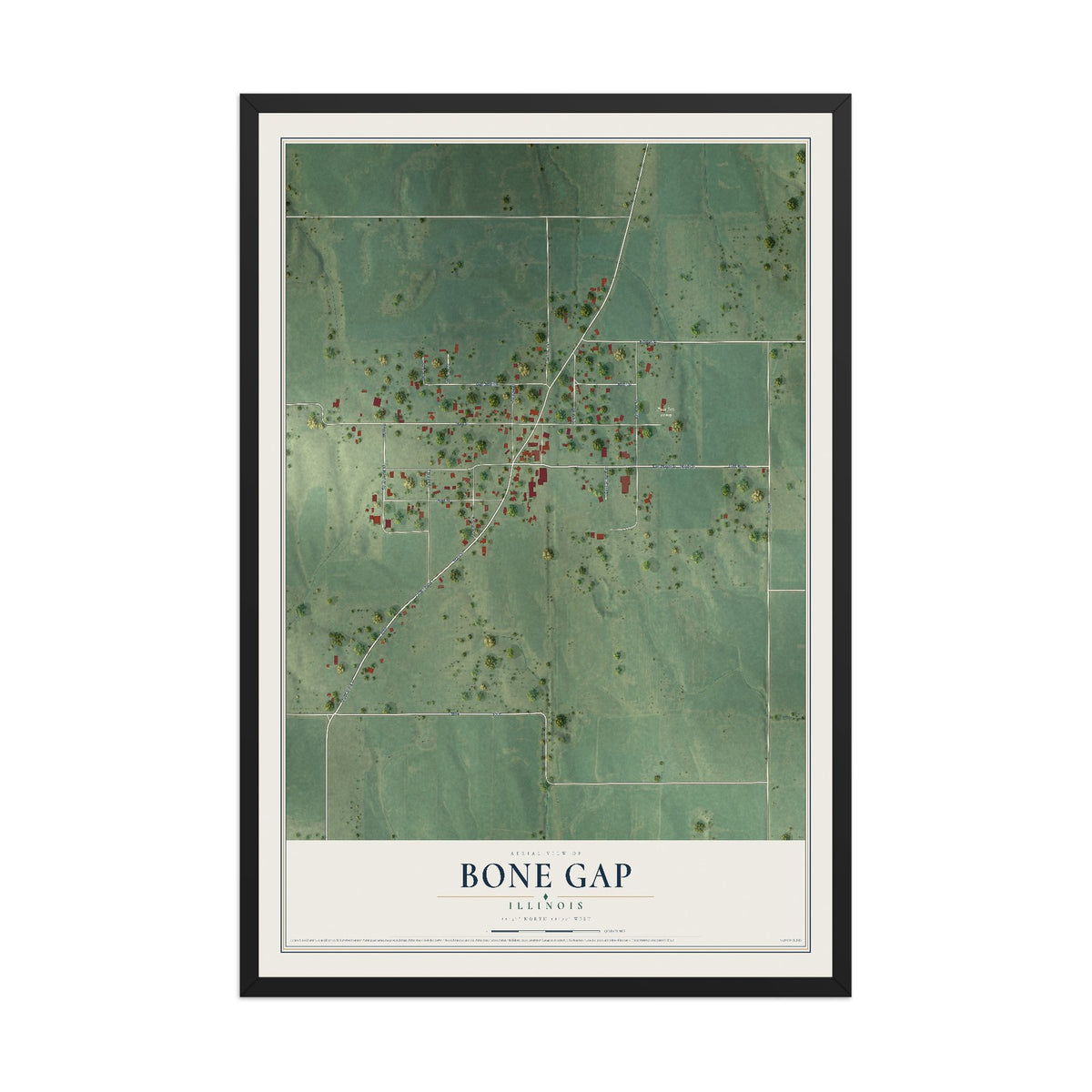 Map of Bone Gap, Illinois, 12 x 18 inch print in a black wood frame