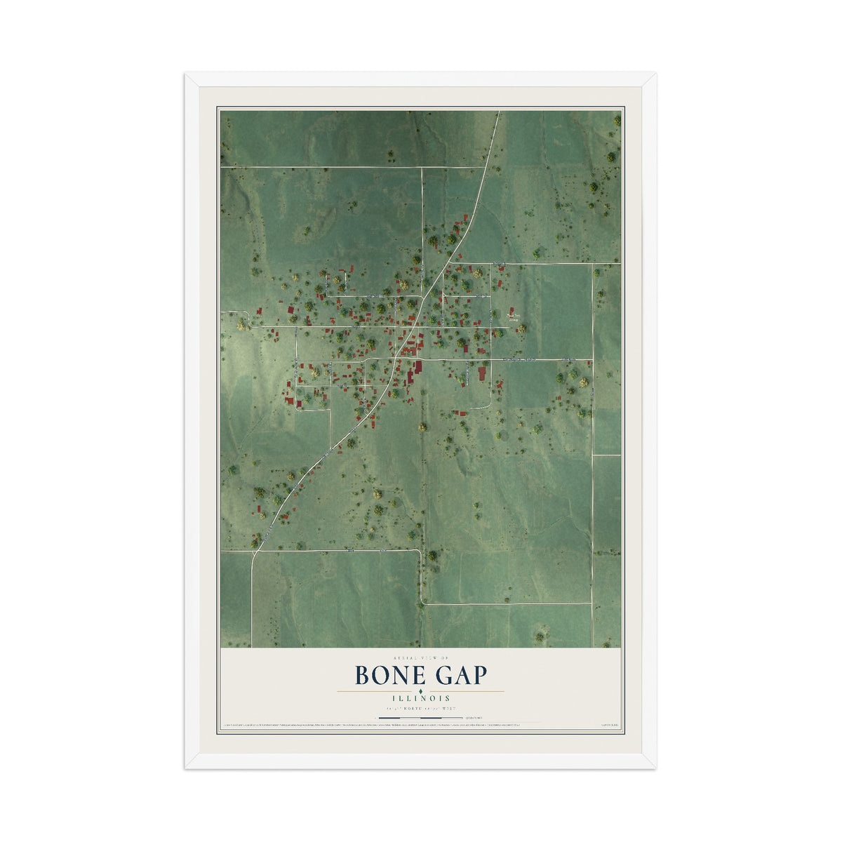 Map of Bone Gap, Illinois, 12 x 18 inch print in a white wood frame