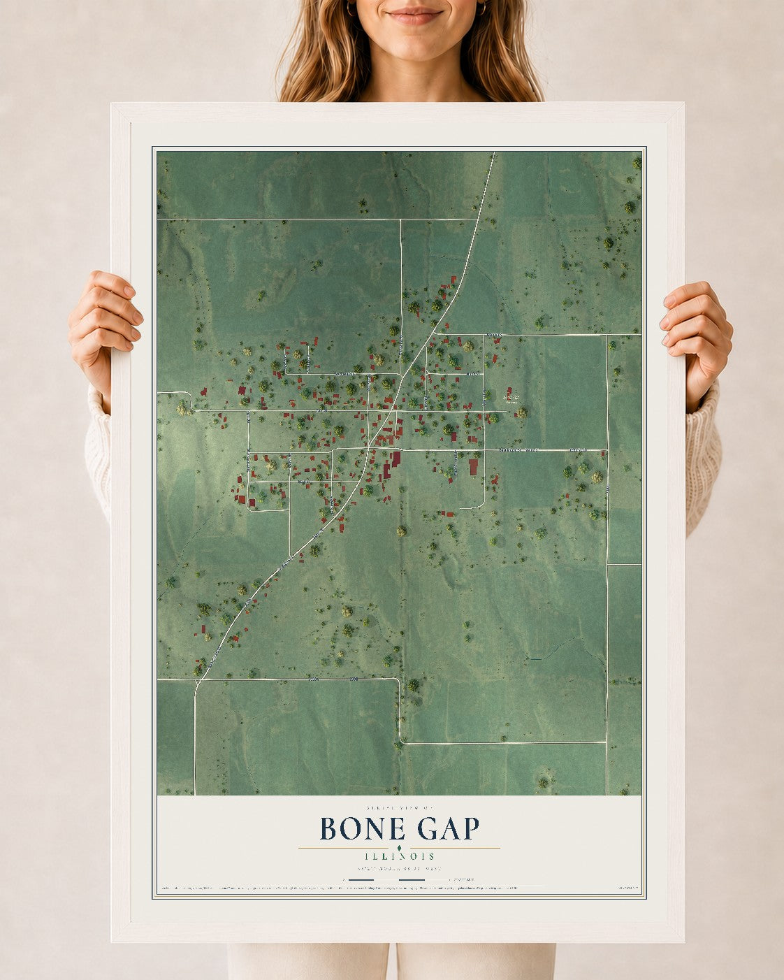 Map of Bone Gap, Illinois, 24 x 36 inch print in a white wood frame