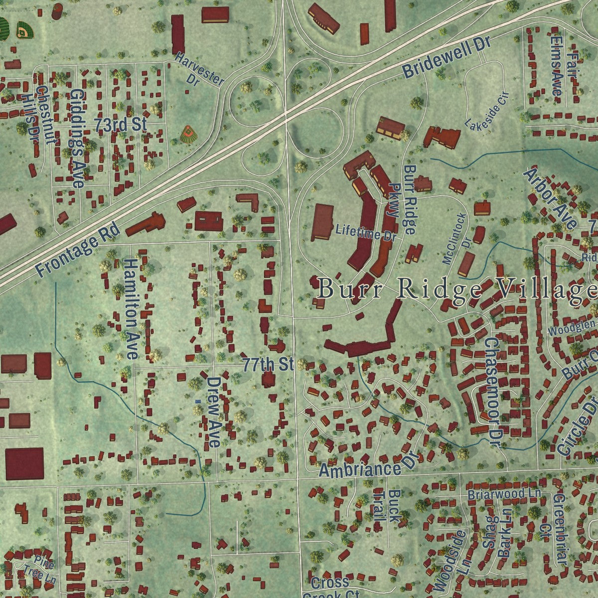 Second close-up of the map of Burr Ridge, Illinois print showing more streets and buildings