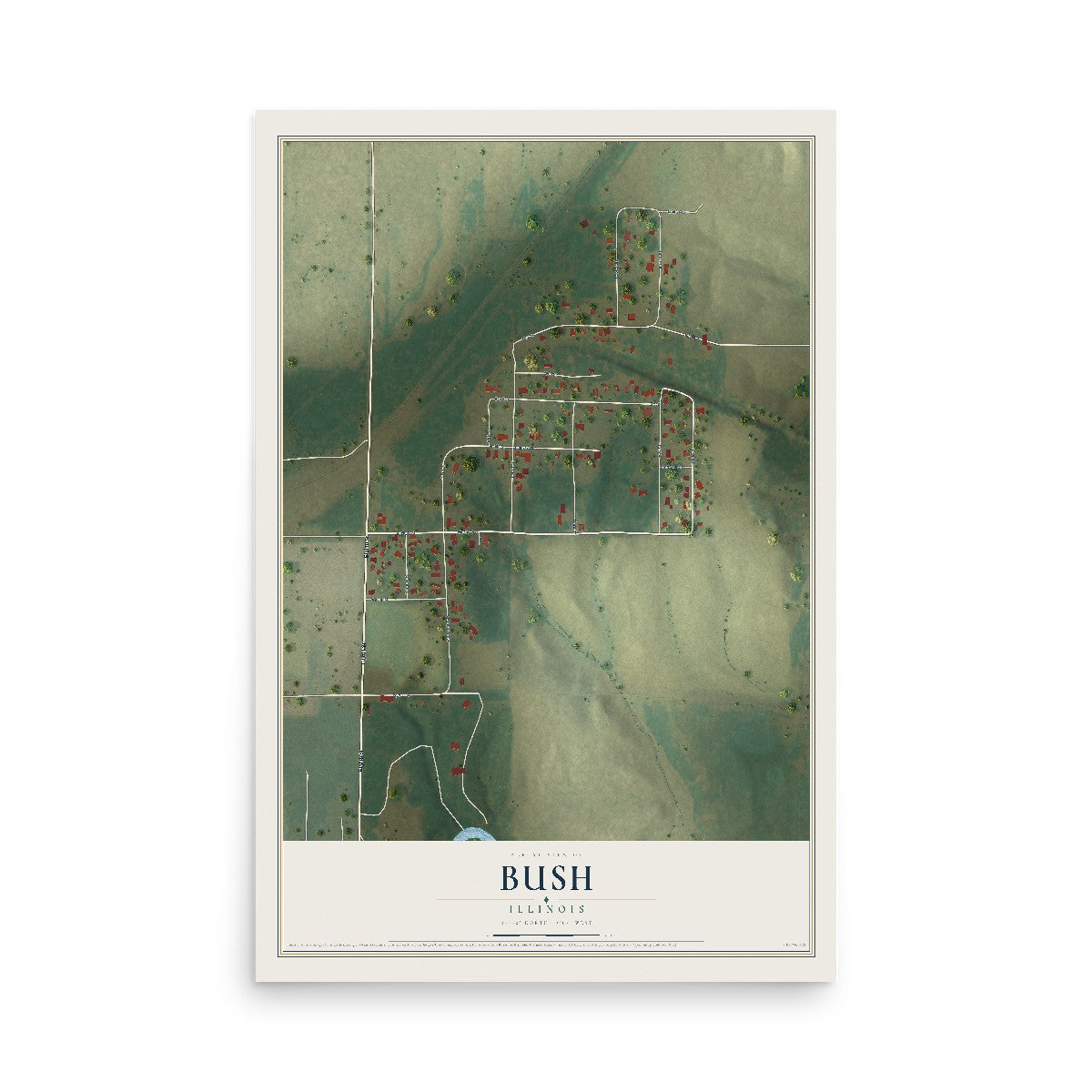 Map of Bush, Illinois, 12 x 18 inch unframed archival matte print