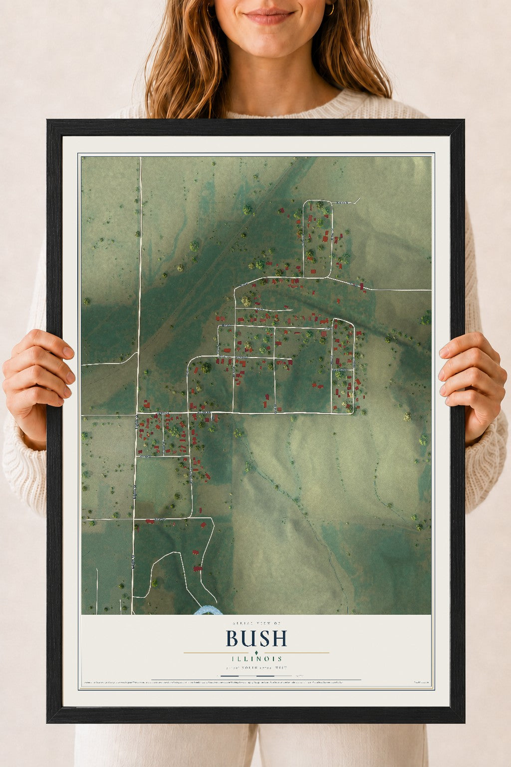 Map of Bush, Illinois, 18 x 24 inch print in a black wood frame