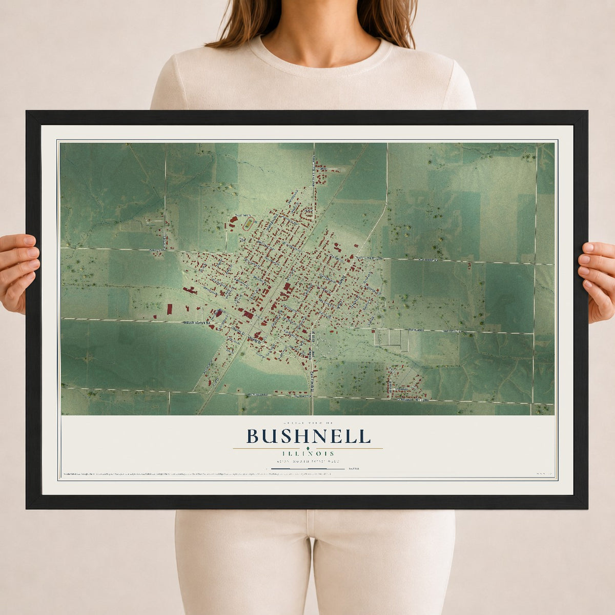 Map of Bushnell, Illinois, 18 x 24 inch print in a black wood frame