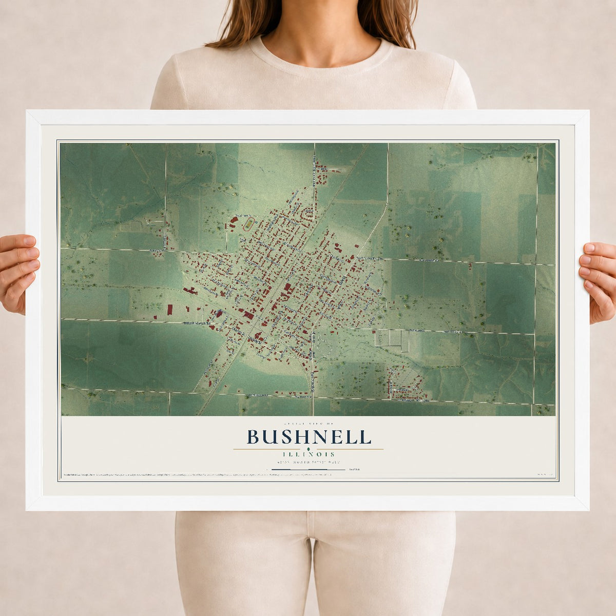 Map of Bushnell, Illinois, 18 x 24 inch print in a white wood frame