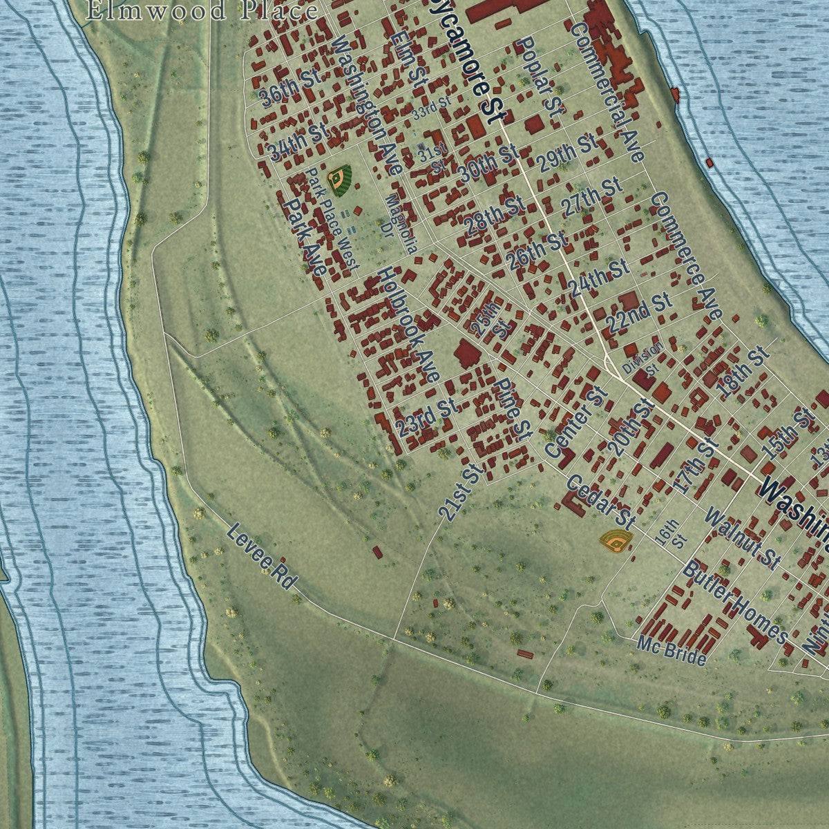 Close-up of the map of Cairo, Illinois print showing street and building detail