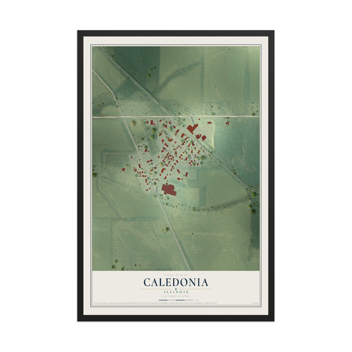 Map of Caledonia, Illinois, 12 x 18 inch print in a black wood frame
