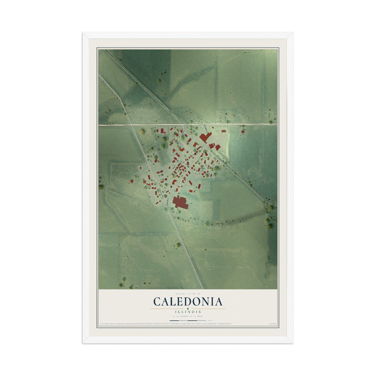 Map of Caledonia, Illinois, 12 x 18 inch print in a white wood frame