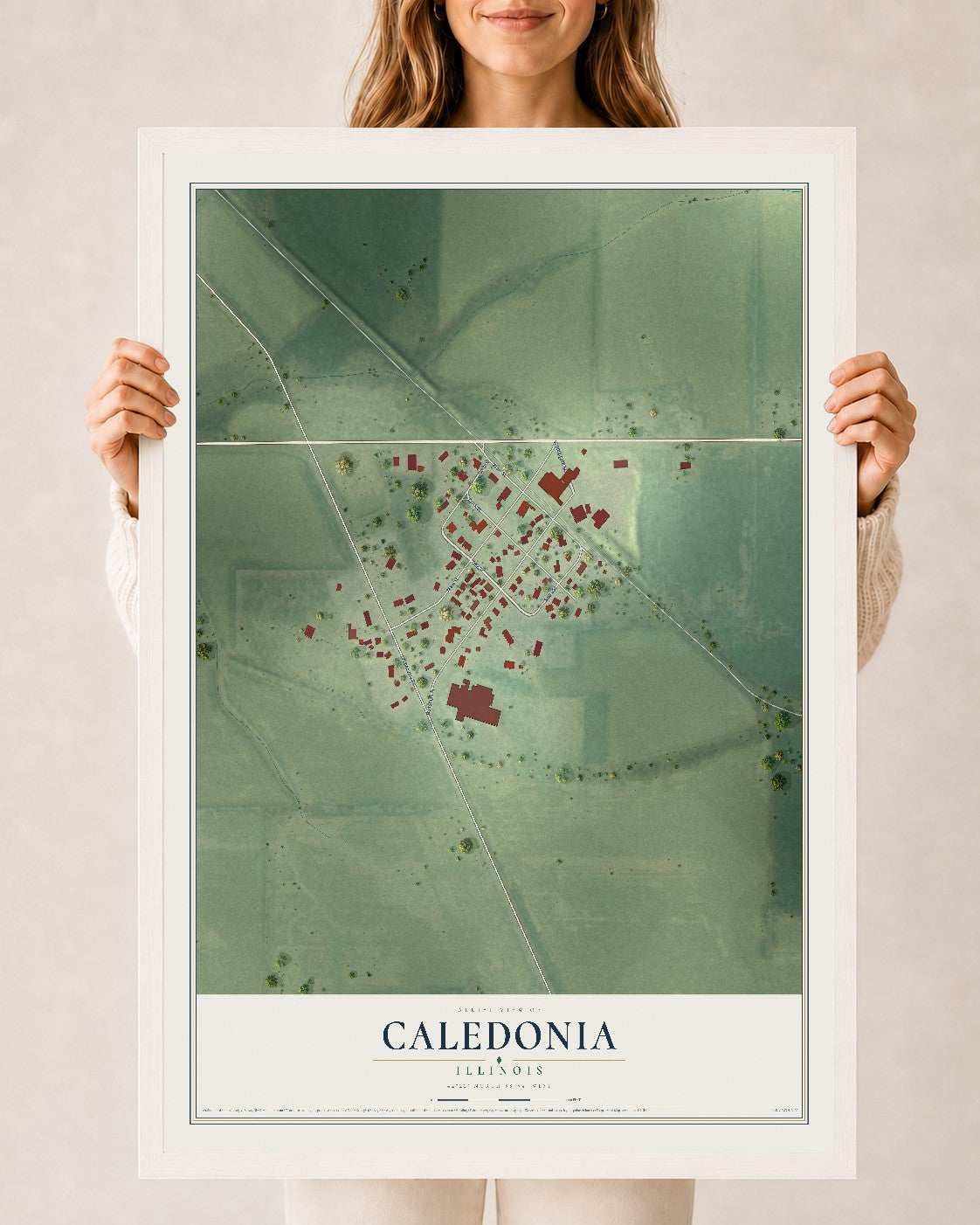 Map of Caledonia, Illinois, 24 x 36 inch print in a white wood frame