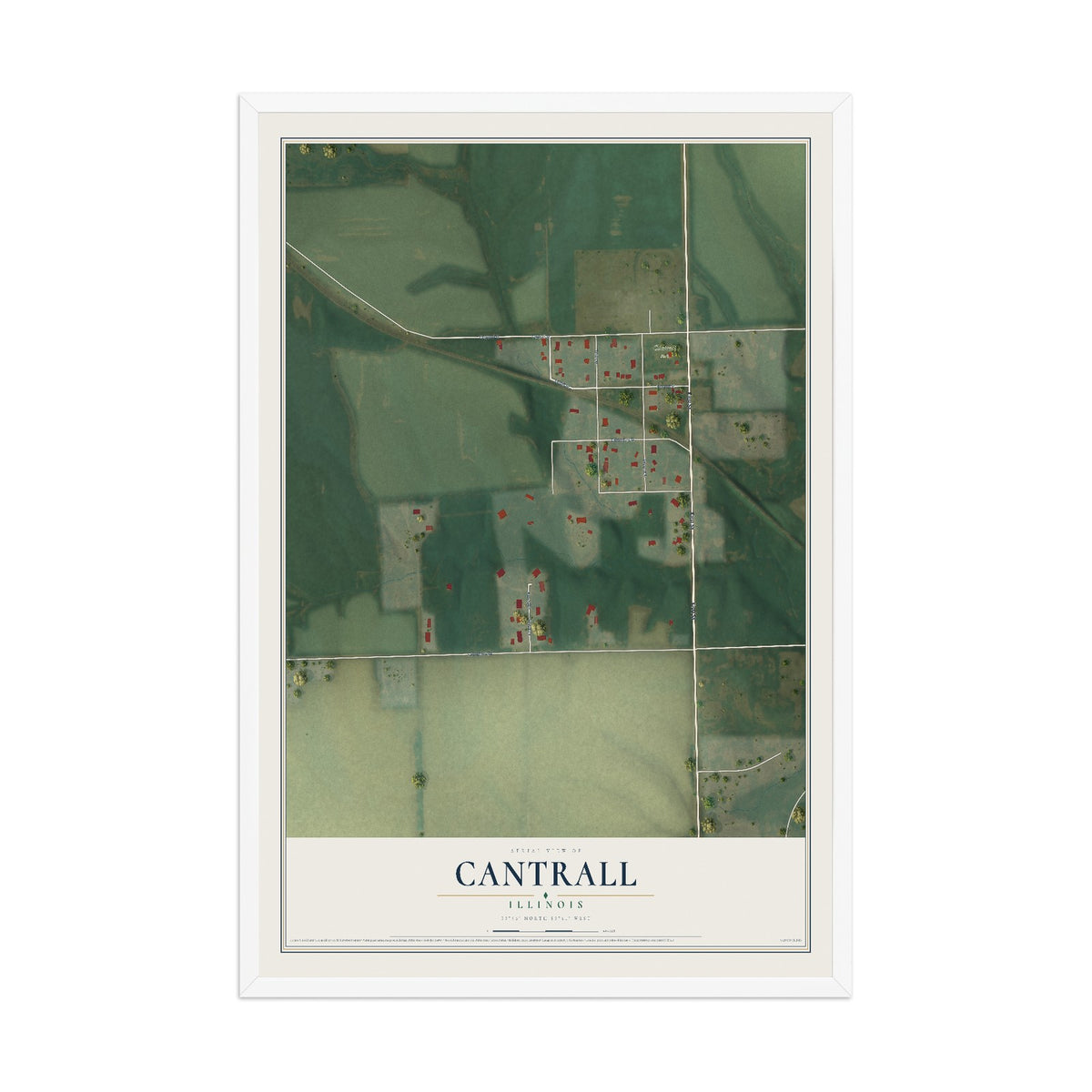 Map of Cantrall, Illinois, 12 x 18 inch print in a white wood frame