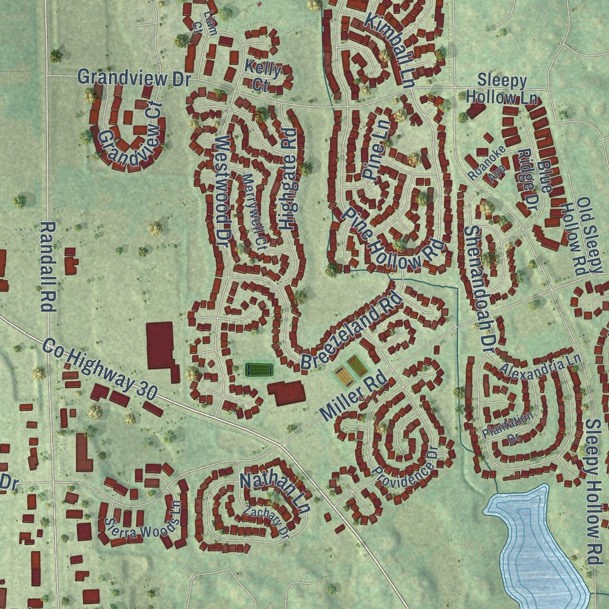Close-up of the map of Carpentersville, Illinois print showing street and building detail