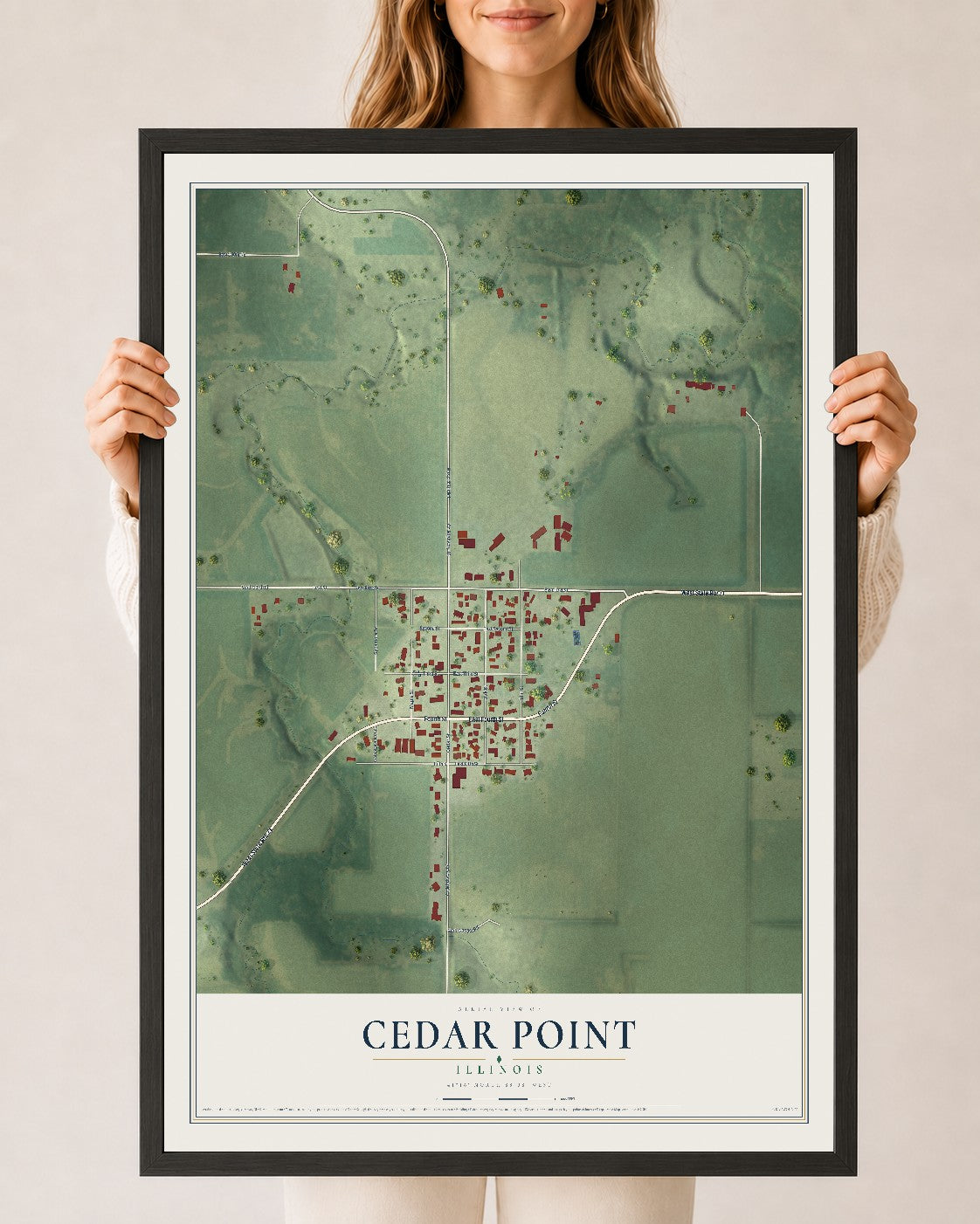 Map of Cedar Point, Illinois, 24 x 36 inch print in a black wood frame