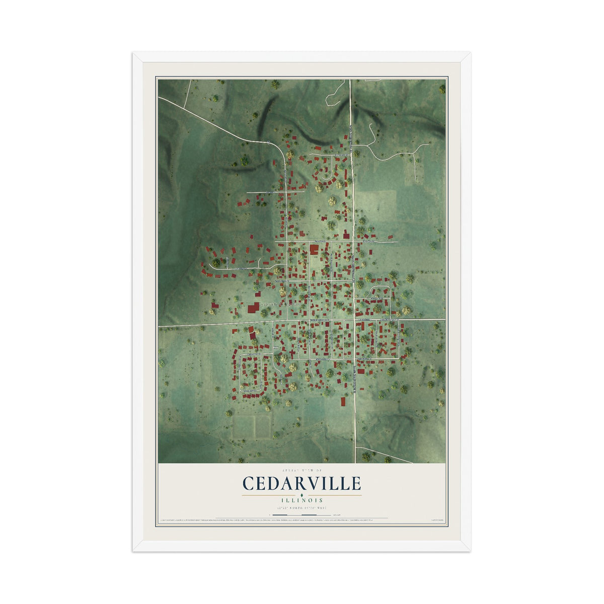 Map of Cedarville, Illinois, 12 x 18 inch print in a white wood frame