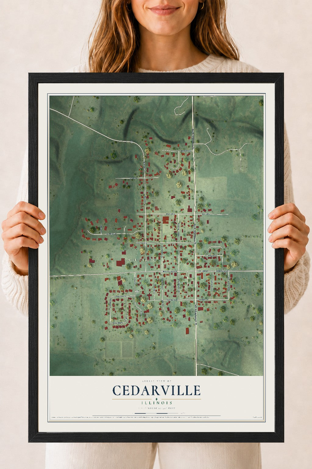 Map of Cedarville, Illinois, 18 x 24 inch print in a black wood frame